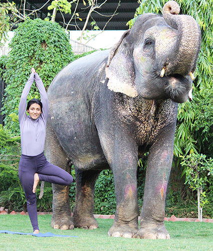 Yoga With Elephant