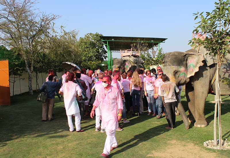 Elephant ride and Amber Fort tour