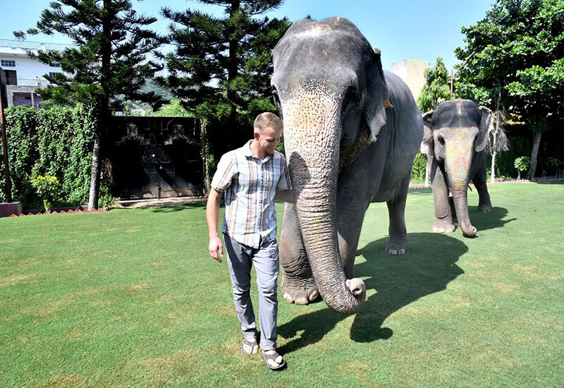 Elephant Ride In Jaipur Tour at best price in Rajasthan