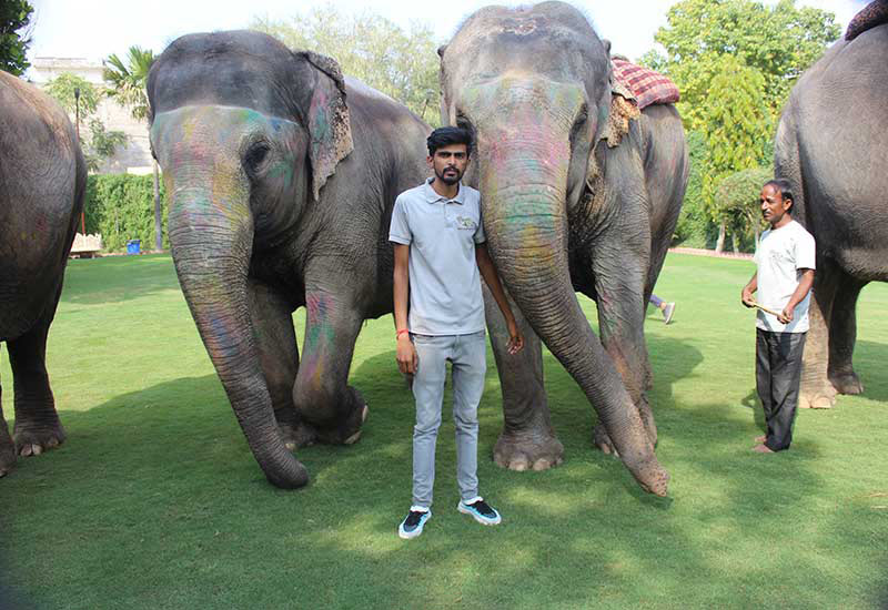 Elephant Ride to Amber Palace at best price in Jaipur