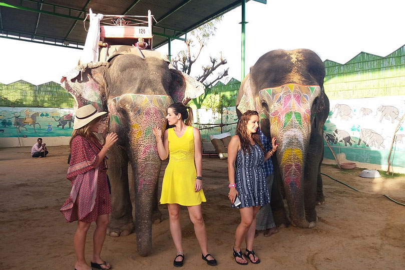 Elephant Safari and Ride in Amer Fort Jaipur: A Majestic Experience