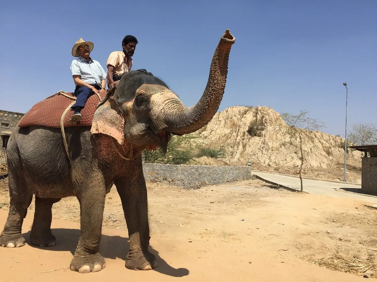 Hathi Gaon Elephant