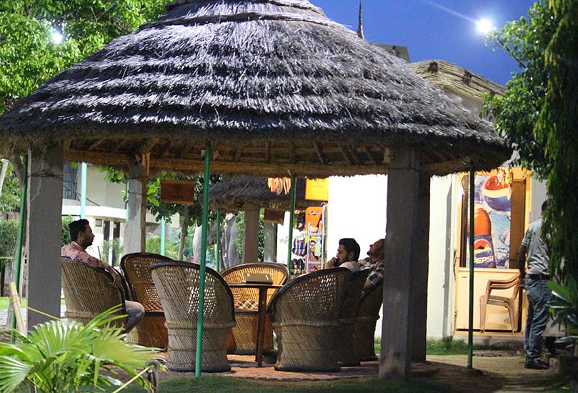 Harmony in the Nature: A Journey to Natural Living Amidst the Ele Jungle