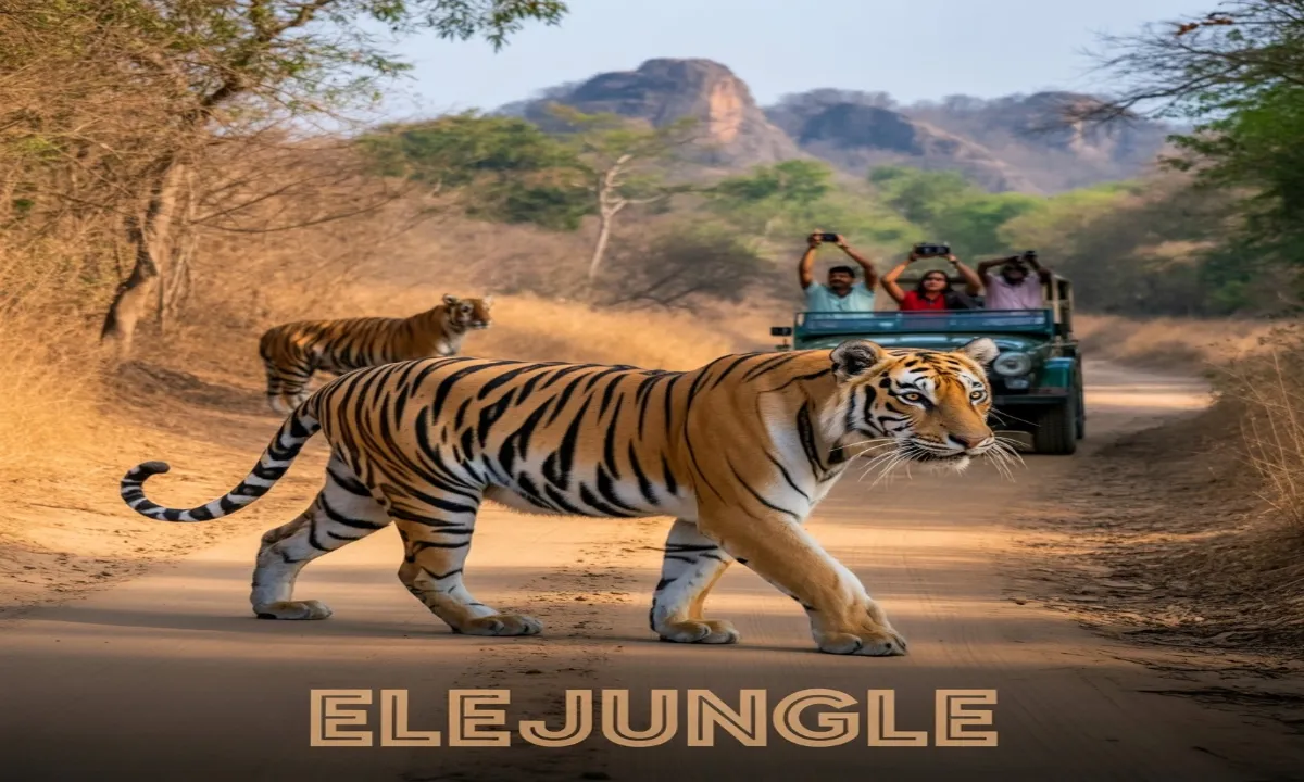 Jaipur to Ranthambore Tour Package