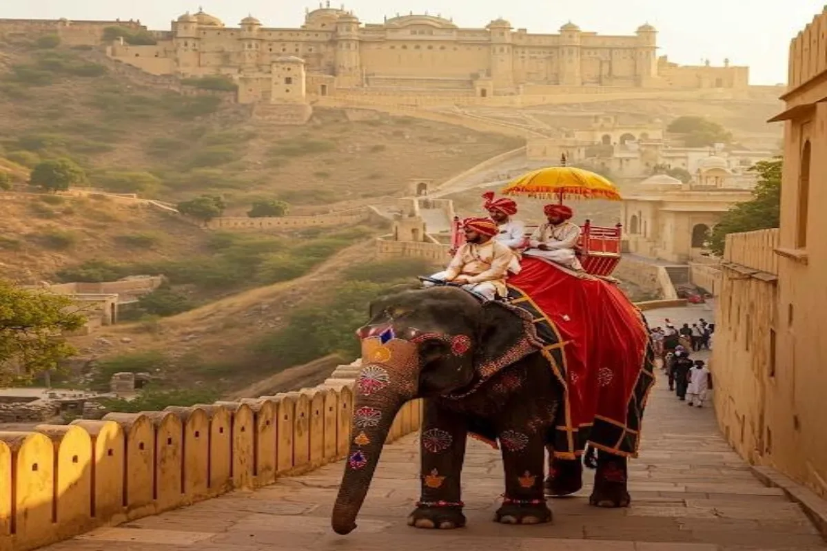 Hathi Gaon Jaipur