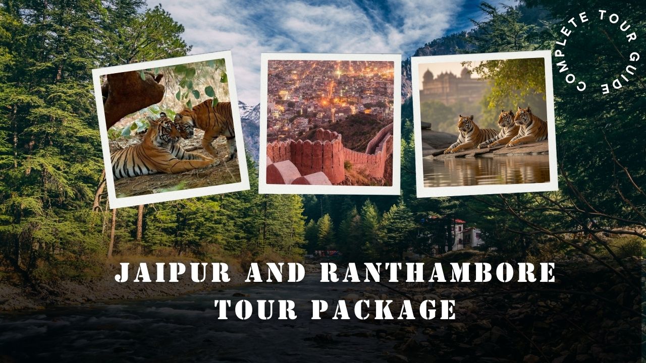 Jaipur Ranthambore Tour Package