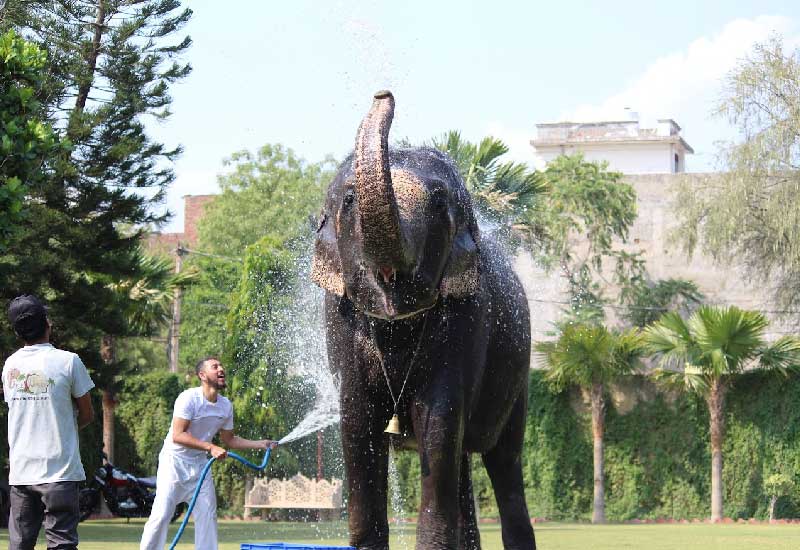 Jaipur with Kids: Family-Friendly Activities and Attractions