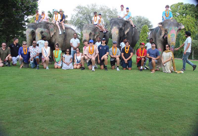 The Historical Significance Of Elephants In Jaipur's Culture