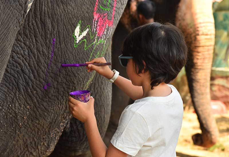 Unleashing the Joy of Elephant Beautifying in Jaipur: A Delightful Bonding Experience