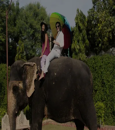 Elephant Ride Jaipur