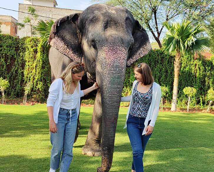 Walk with Elephant