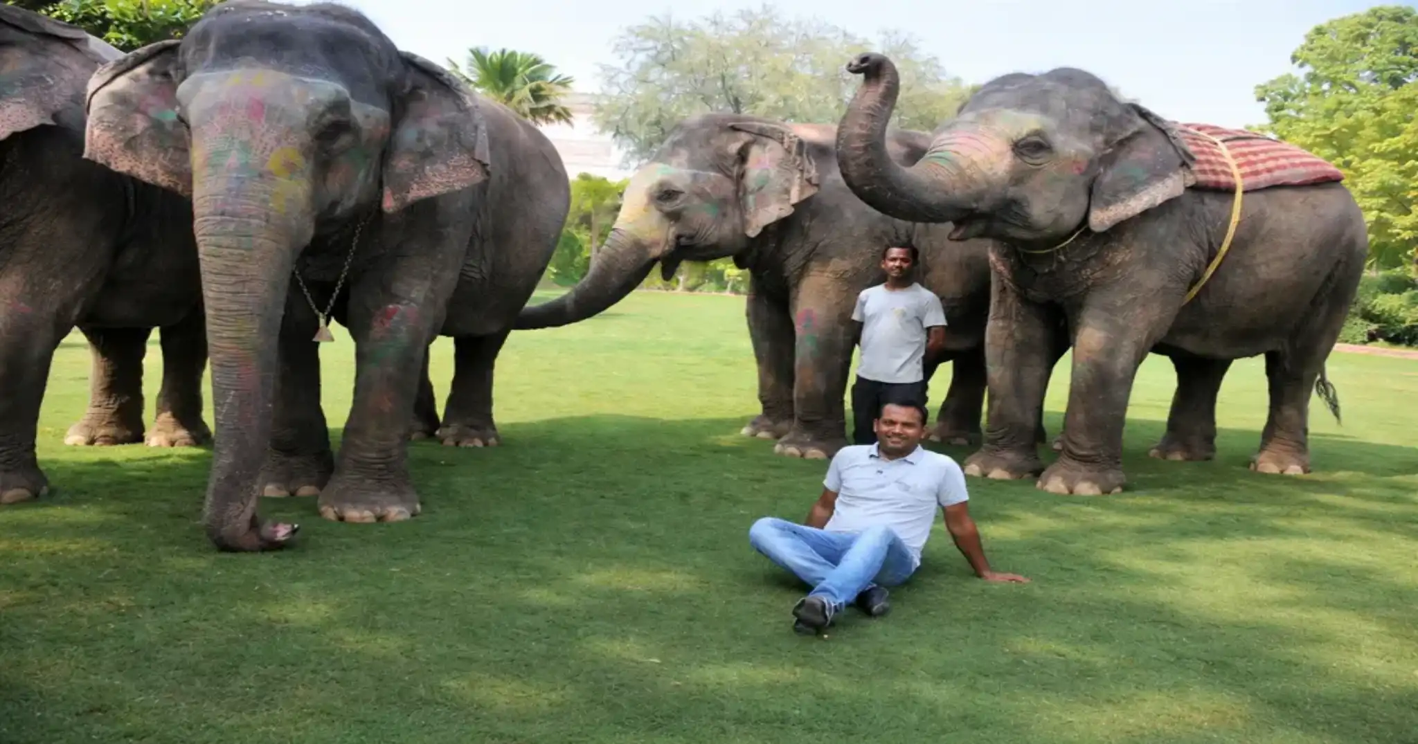 About Elephant Village Amer